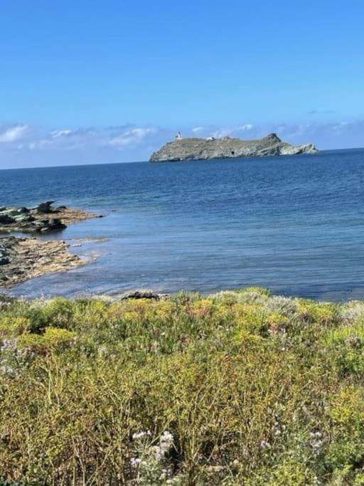 Appartement Tout Confort 2-4 Pers 500 M De La Plage Avec Piscine Et Wifi Santa-Maria-Poggio  エクステリア 写真
